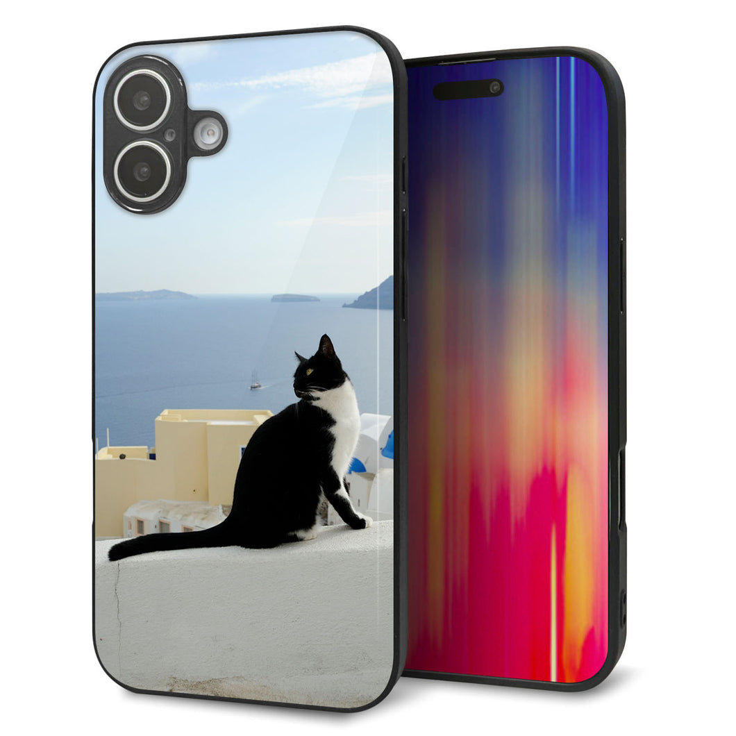 iPhone16 Plus 強化ガラス&TPUスマホケース ガラプリ【VA805 ネコと地中海】