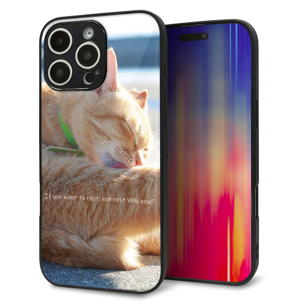 iPhone16 Pro Max 強化ガラス&TPUスマホケース ガラプリ【KM876 猫】