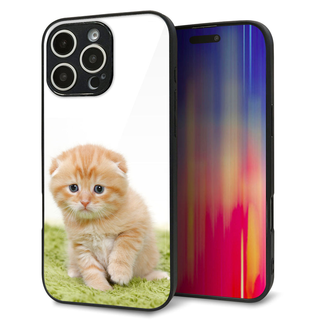 iPhone16 Pro Max 強化ガラス&TPUスマホケース ガラプリ【VA802 ネコこっそり】