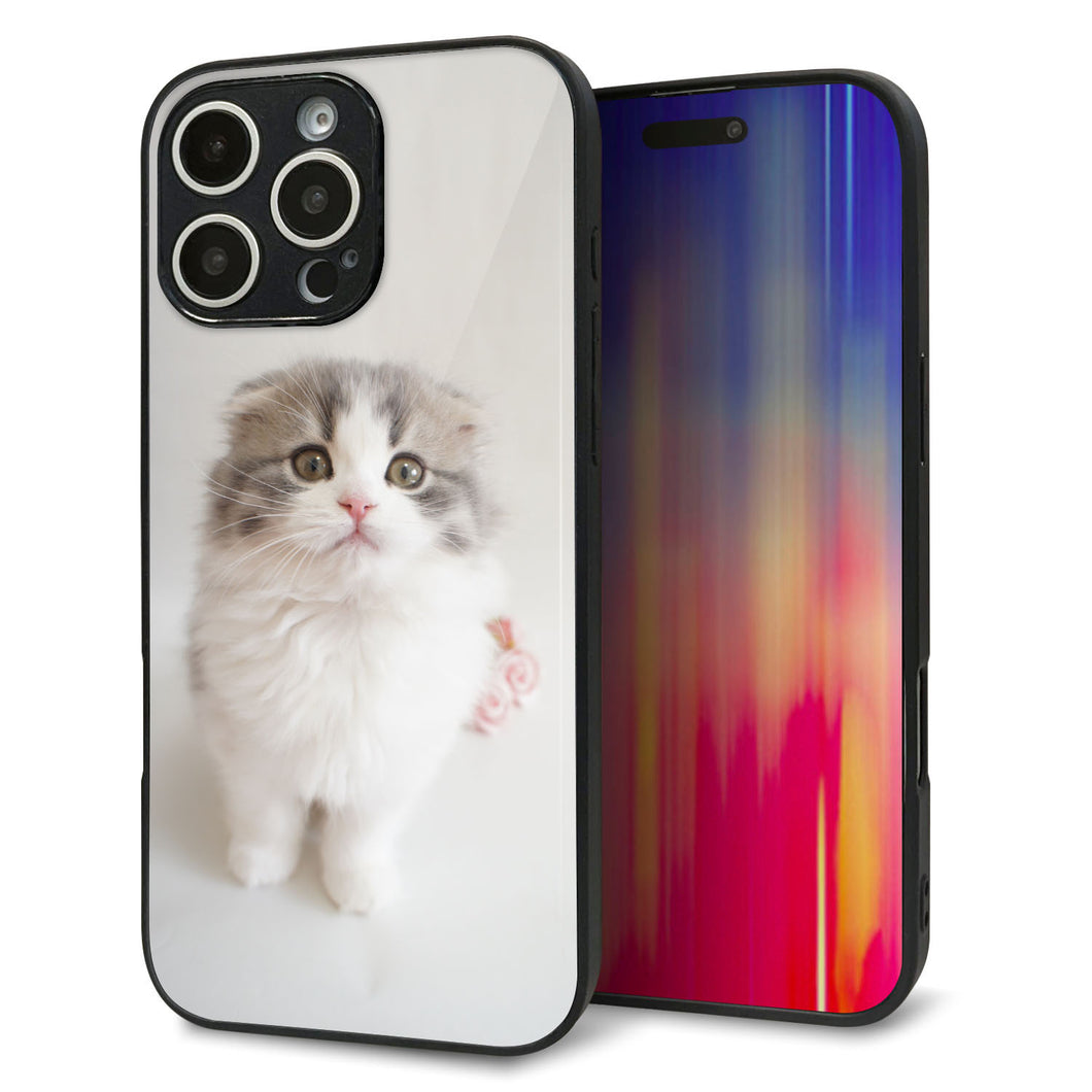 iPhone16 Pro Max 強化ガラス&TPUスマホケース ガラプリ【VA803 まっていますネコ】