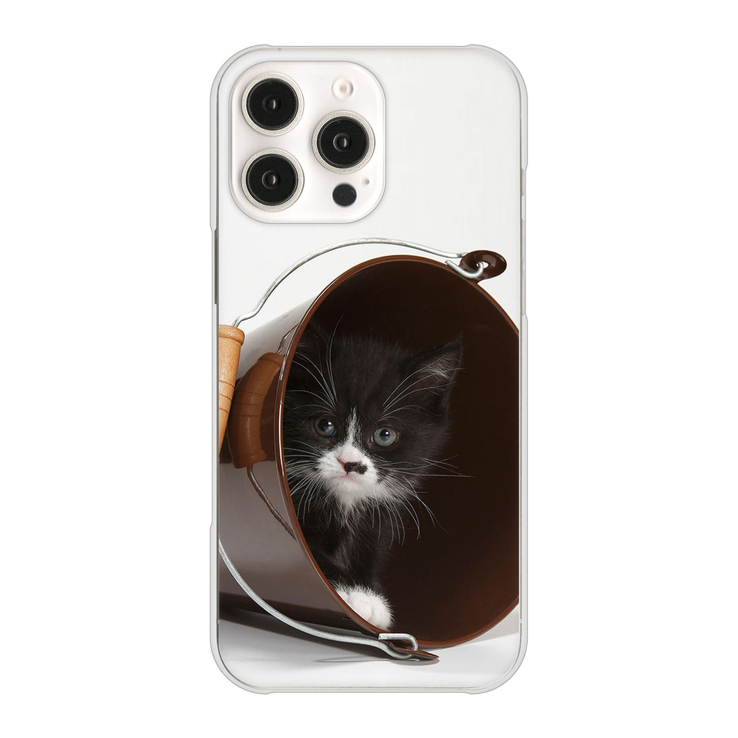 iPhone16 Pro Max 高画質仕上げ 背面印刷 ハードケース 【VA800 ネコとバケツ】