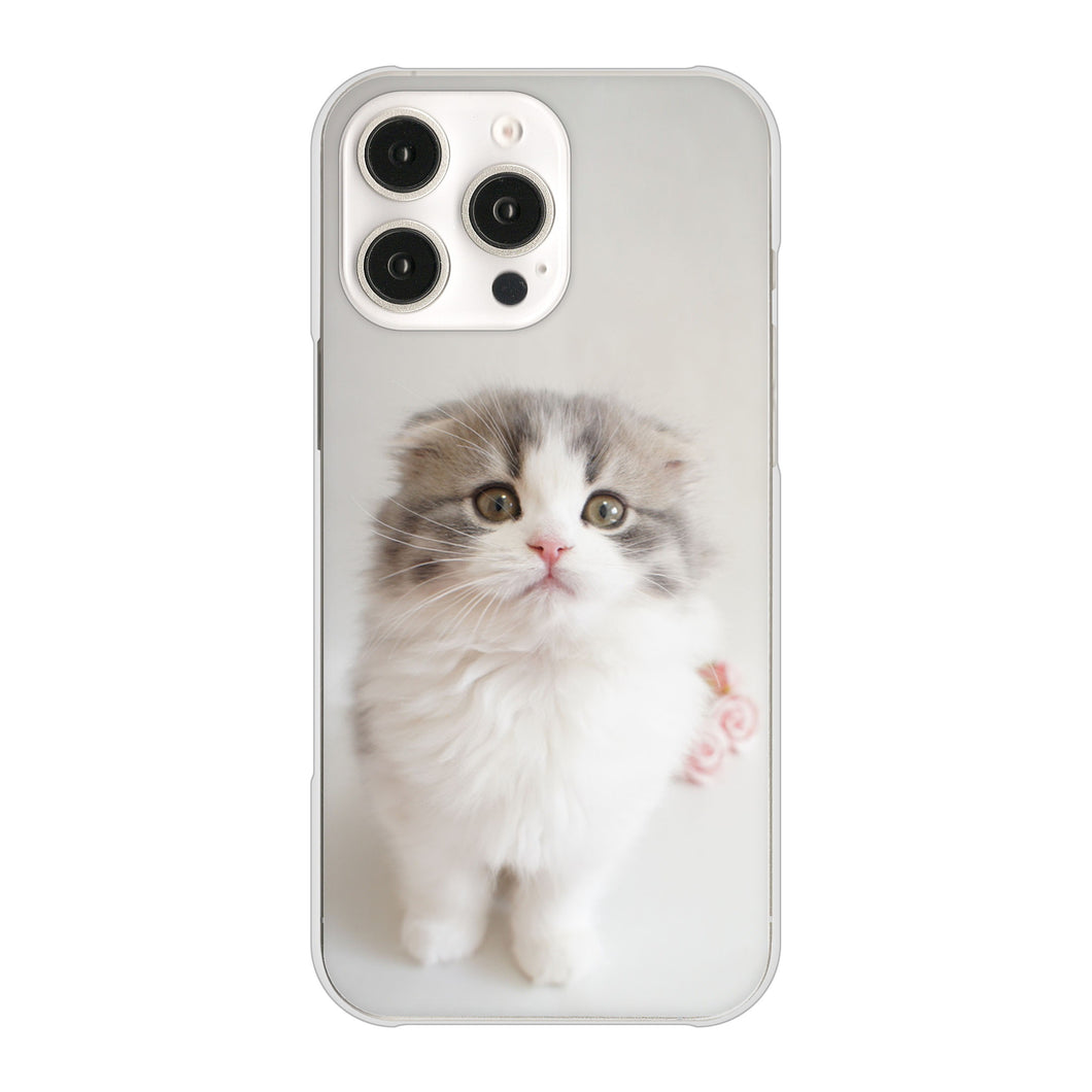 iPhone16 Pro Max 高画質仕上げ 背面印刷 ハードケース 【VA803 まっていますネコ】