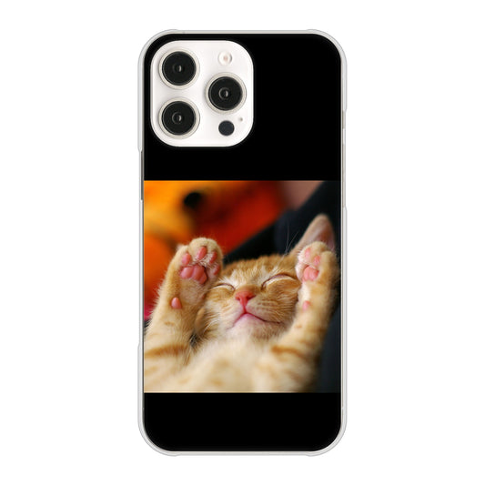 iPhone16 Pro Max 高画質仕上げ 背面印刷 ハードケース 【VA804 爆睡するネコ】