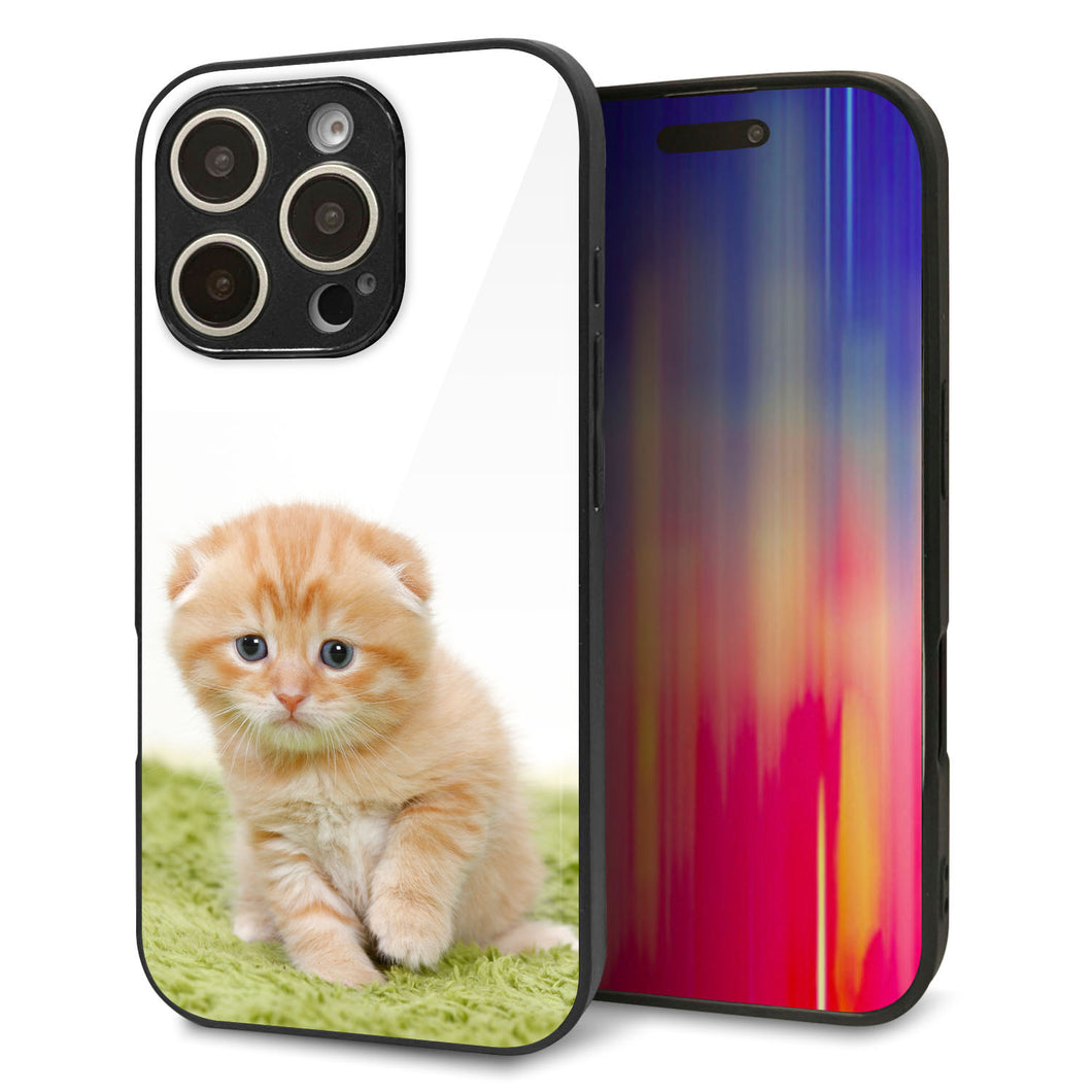 iPhone16 Pro 強化ガラス&TPUスマホケース ガラプリ【VA802 ネコこっそり】