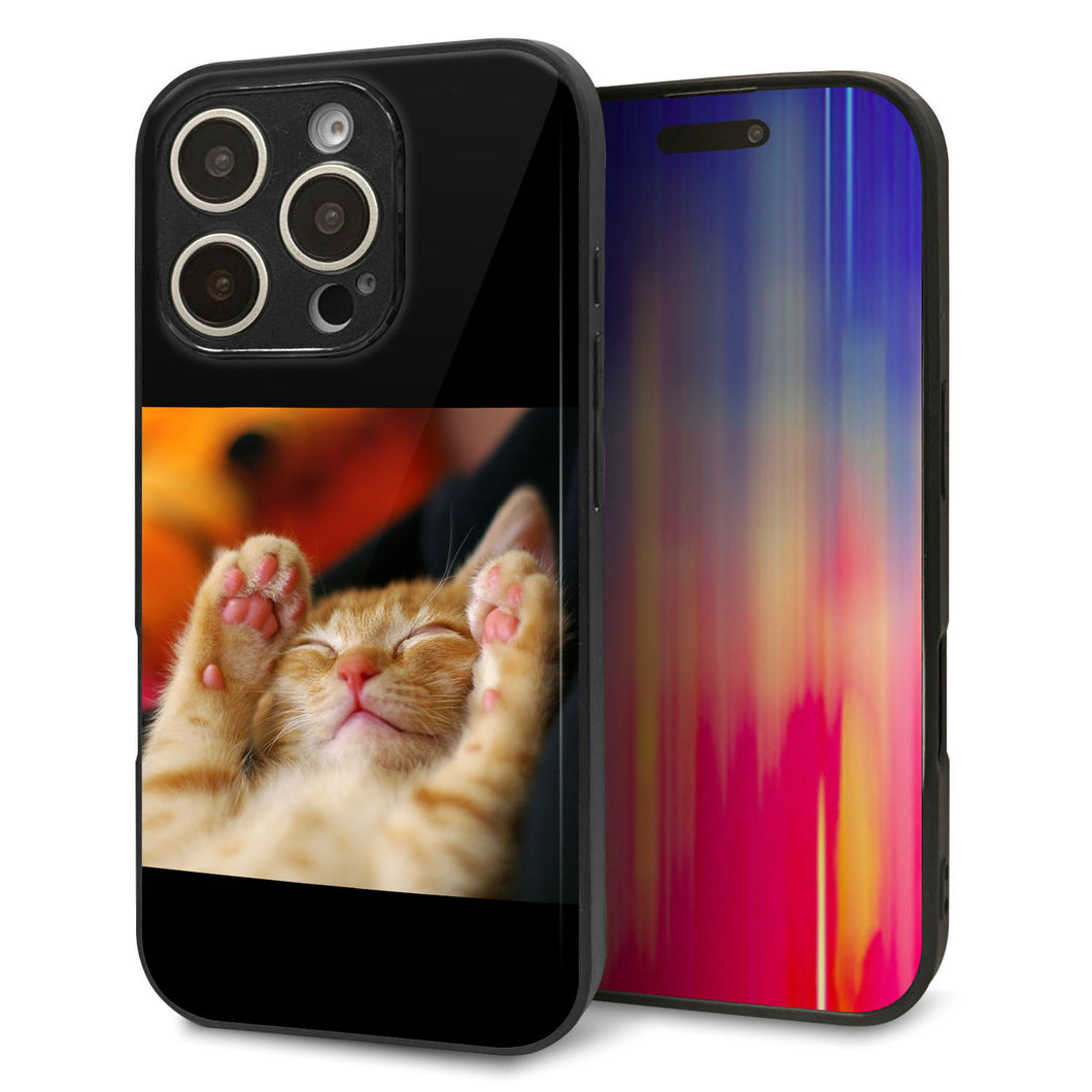 iPhone16 Pro 強化ガラス&TPUスマホケース ガラプリ【VA804 爆睡するネコ】