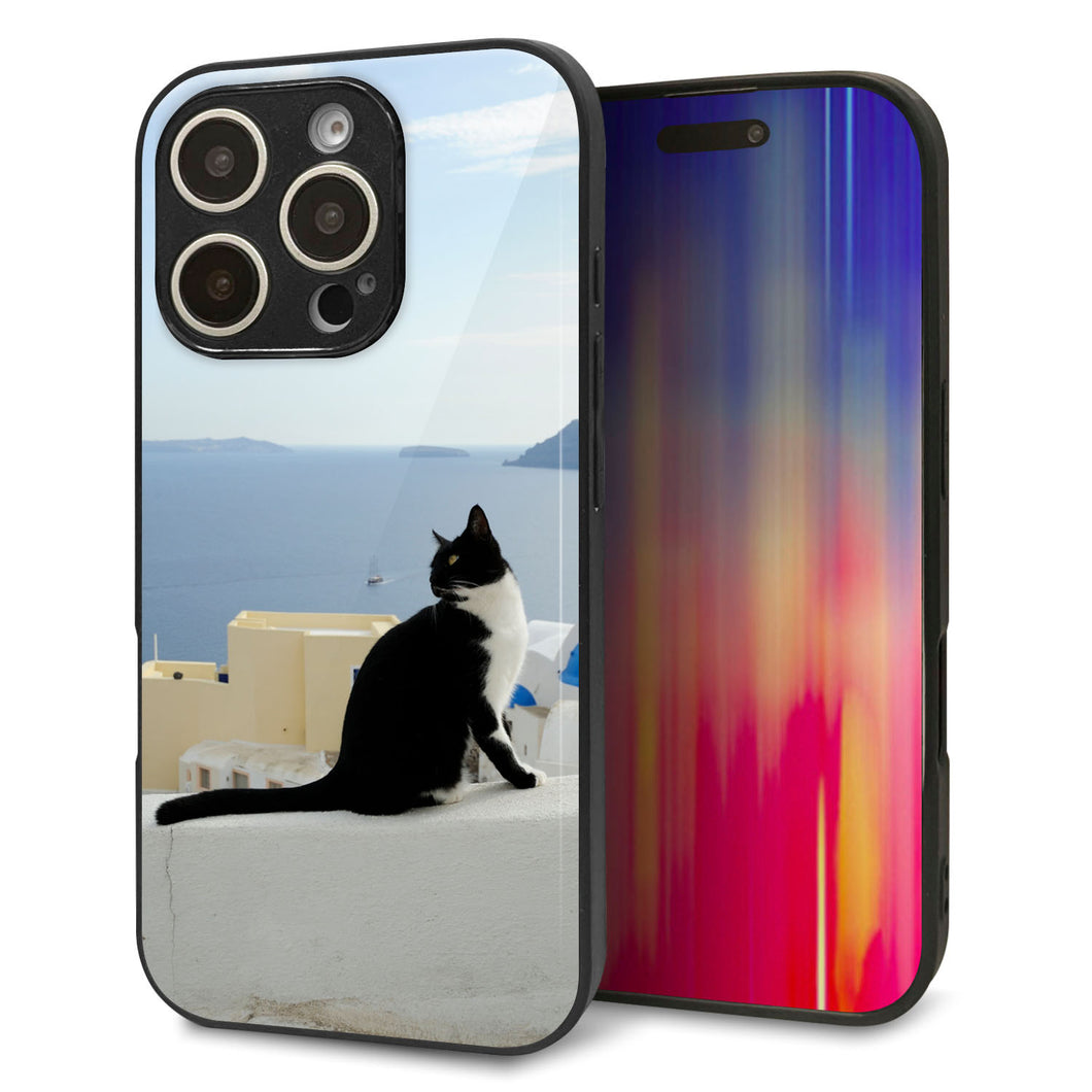 iPhone16 Pro 強化ガラス&TPUスマホケース ガラプリ【VA805 ネコと地中海】