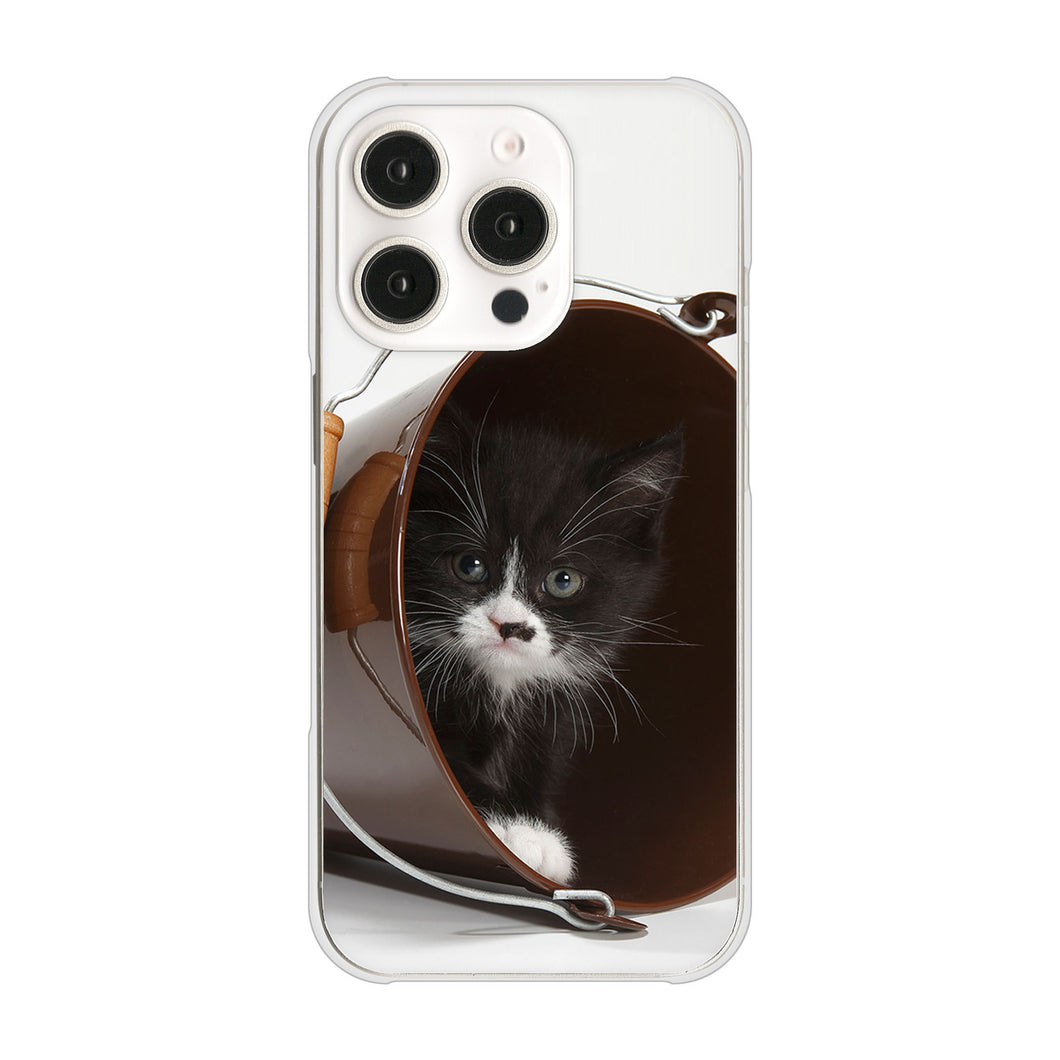 iPhone16 Pro 高画質仕上げ 背面印刷 ハードケース 【VA800 ネコとバケツ】