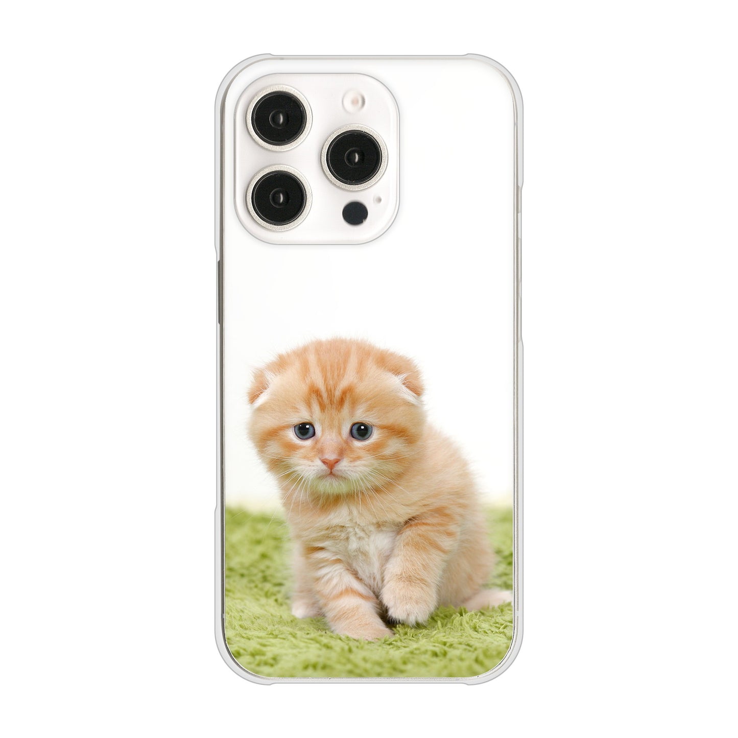 iPhone16 Pro 高画質仕上げ 背面印刷 ハードケース 【VA802 ネコこっそり】