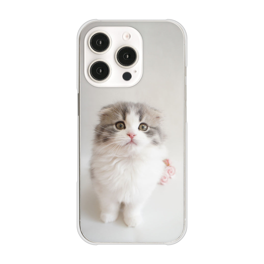 iPhone16 Pro 高画質仕上げ 背面印刷 ハードケース 【VA803 まっていますネコ】