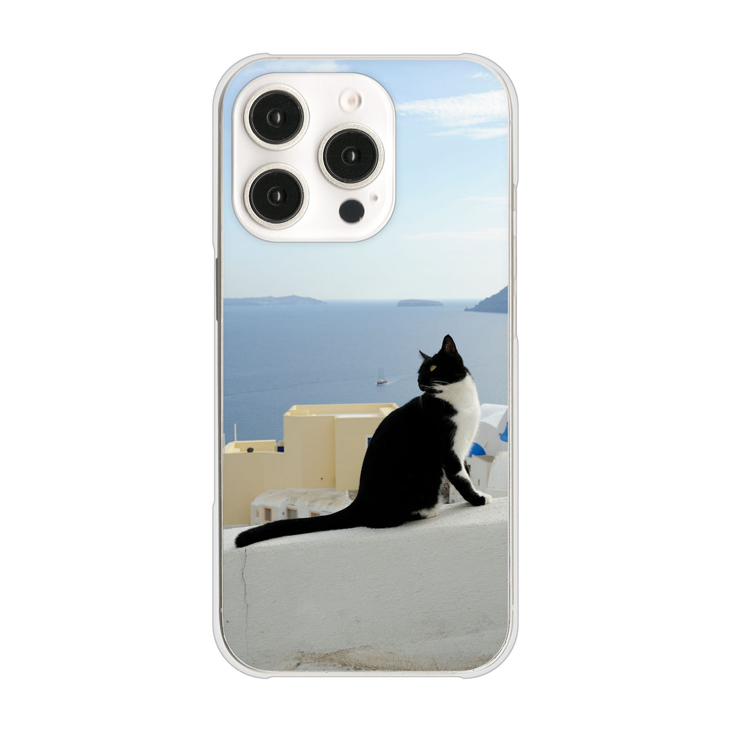 iPhone16 Pro 高画質仕上げ 背面印刷 ハードケース 【VA805 ネコと地中海】