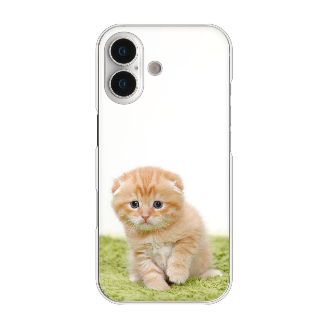 iPhone17 高画質仕上げ 背面印刷 ハードケース 【VA802 ネコこっそり】