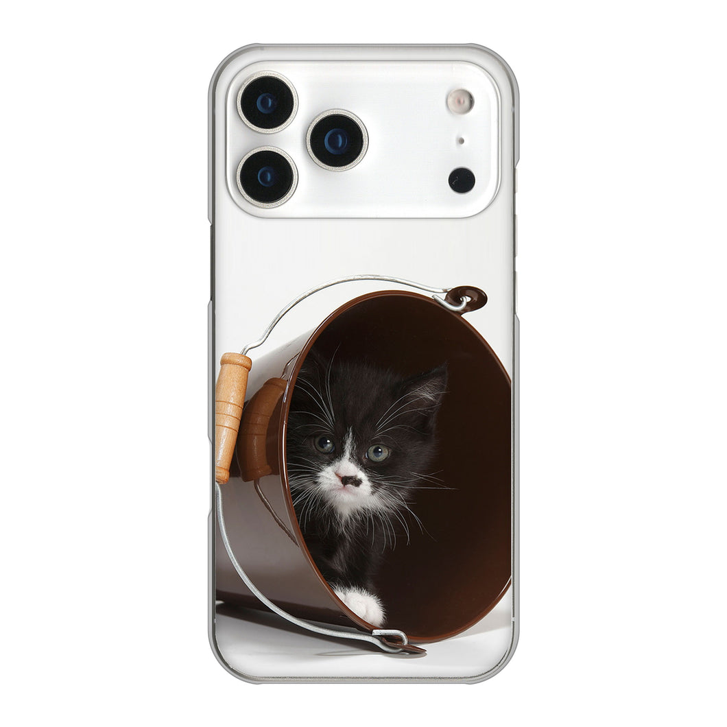 iPhone17 Pro Max 高画質仕上げ 背面印刷 ハードケース 【VA800 ネコとバケツ】