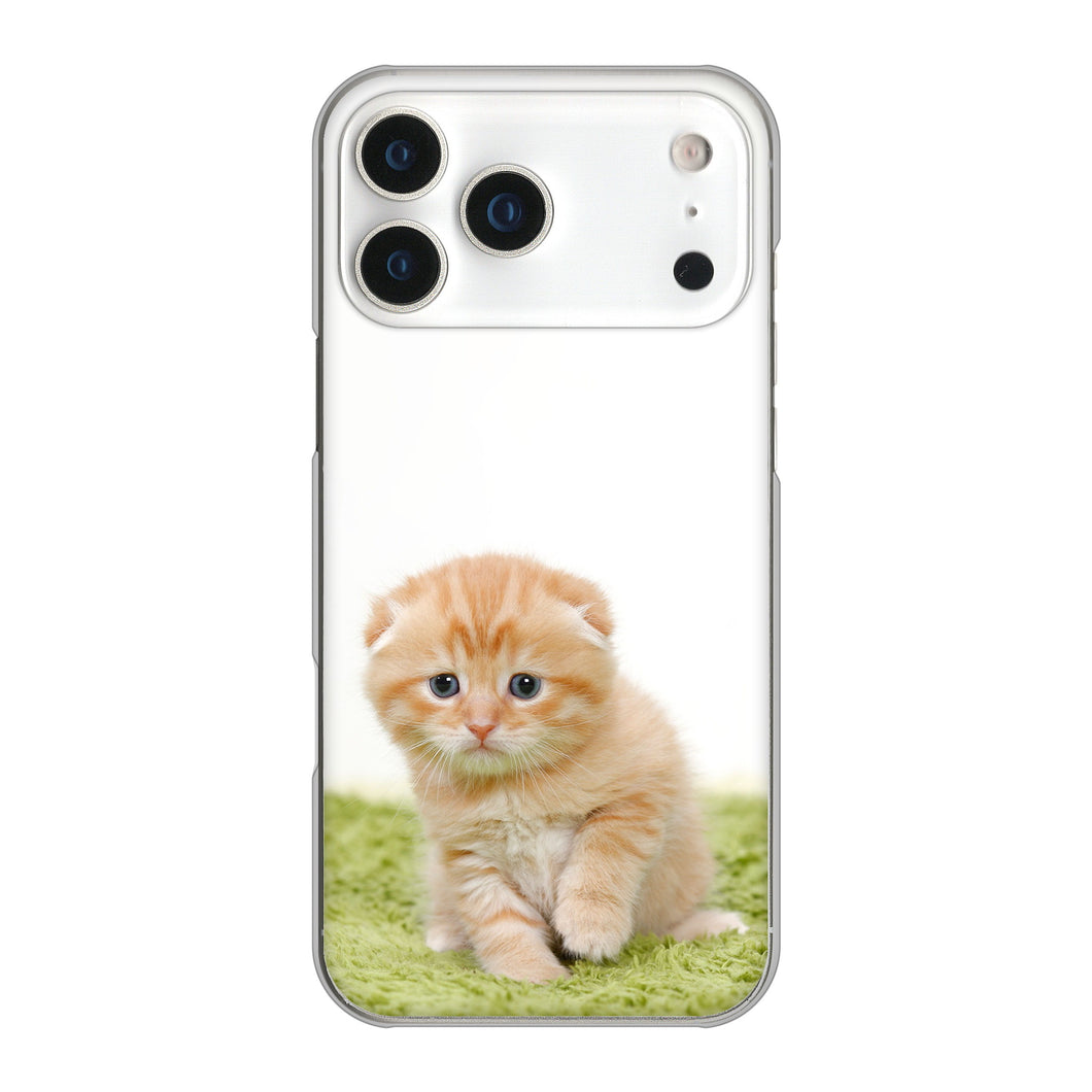 iPhone17 Pro Max 高画質仕上げ 背面印刷 ハードケース 【VA802 ネコこっそり】