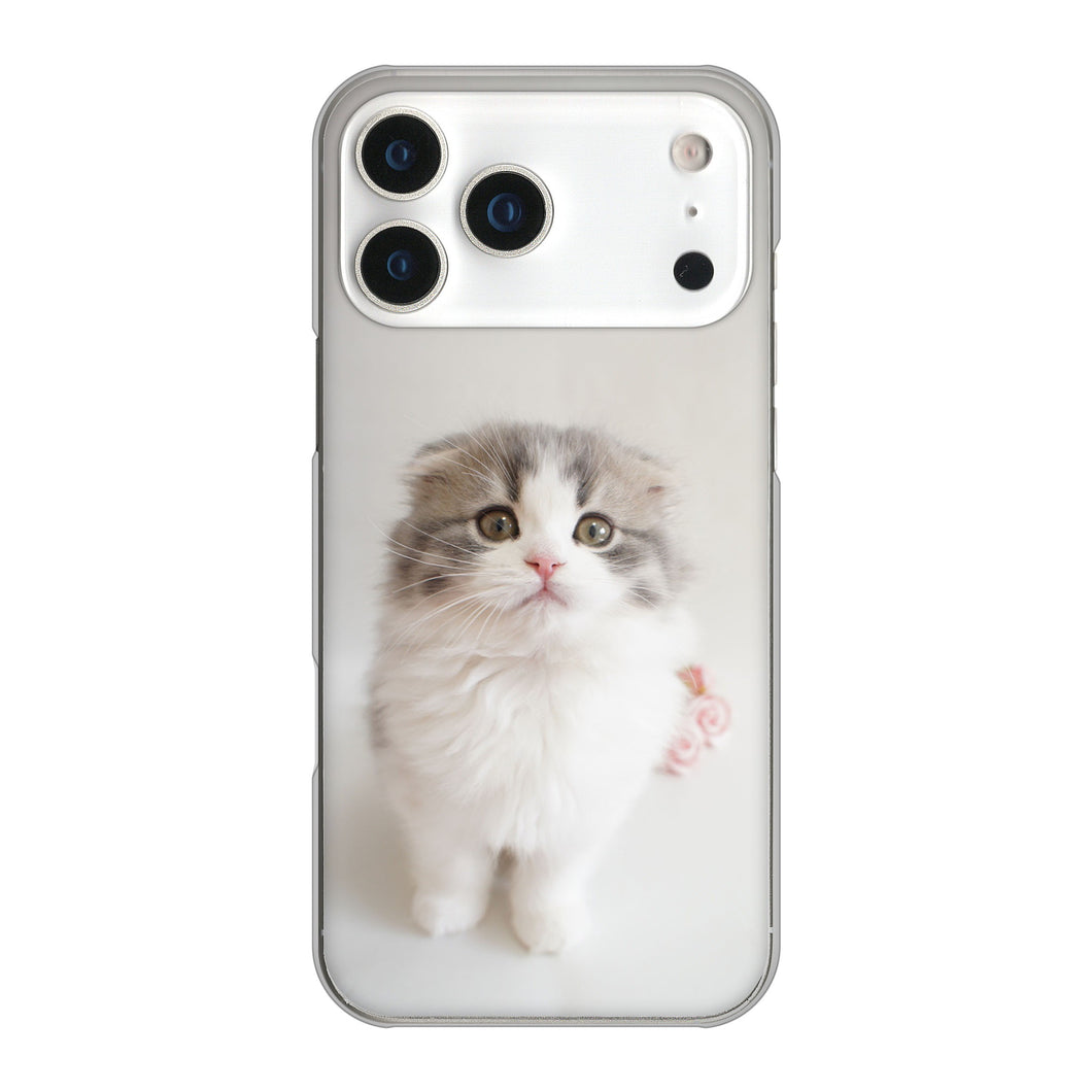 iPhone17 Pro Max 高画質仕上げ 背面印刷 ハードケース 【VA803 まっていますネコ】