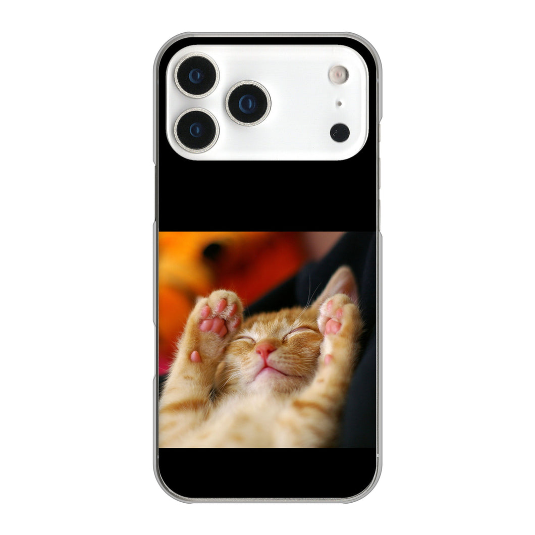 iPhone17 Pro Max 高画質仕上げ 背面印刷 ハードケース 【VA804 爆睡するネコ】