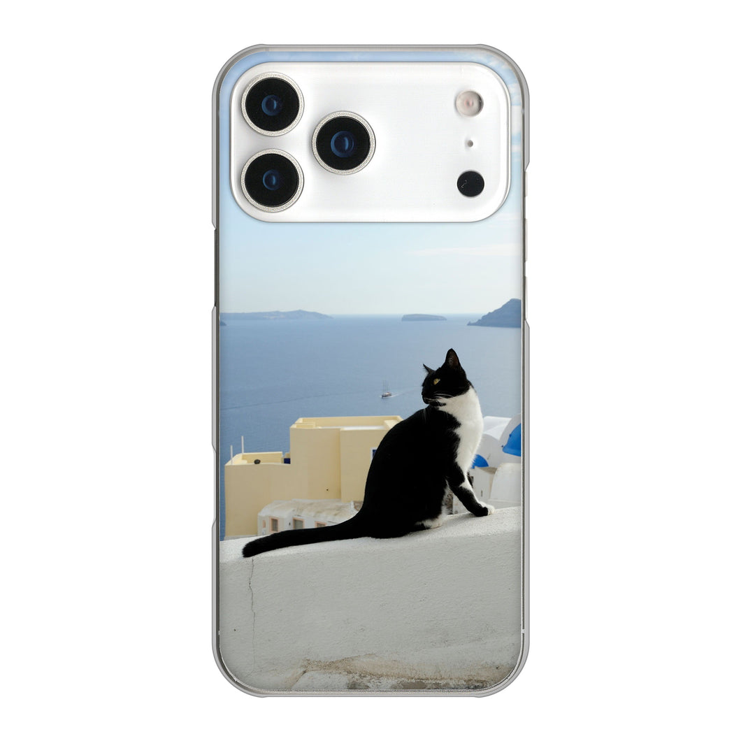 iPhone17 Pro Max 高画質仕上げ 背面印刷 ハードケース 【VA805 ネコと地中海】