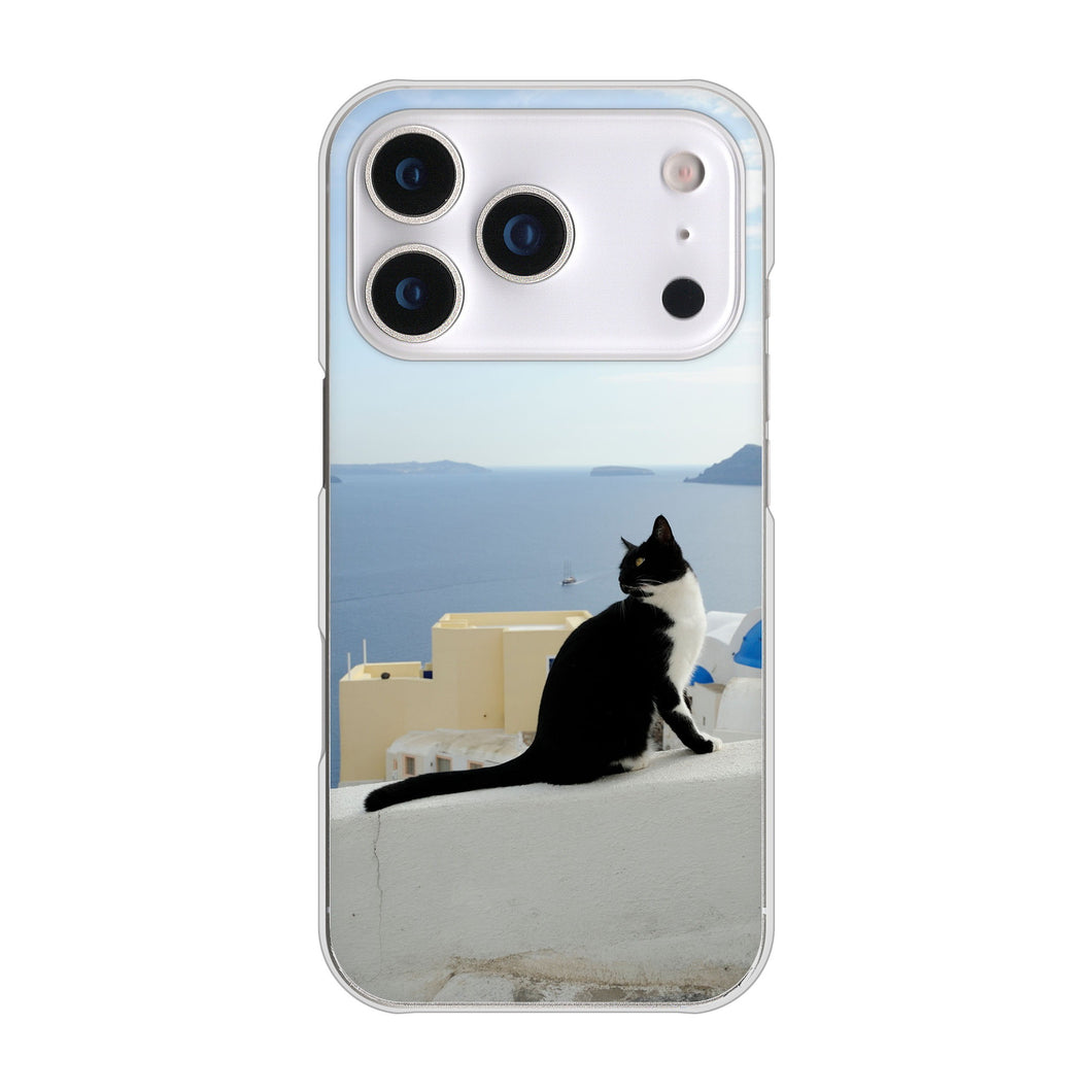 iPhone17 Pro 高画質仕上げ 背面印刷 ハードケース 【VA805 ネコと地中海】