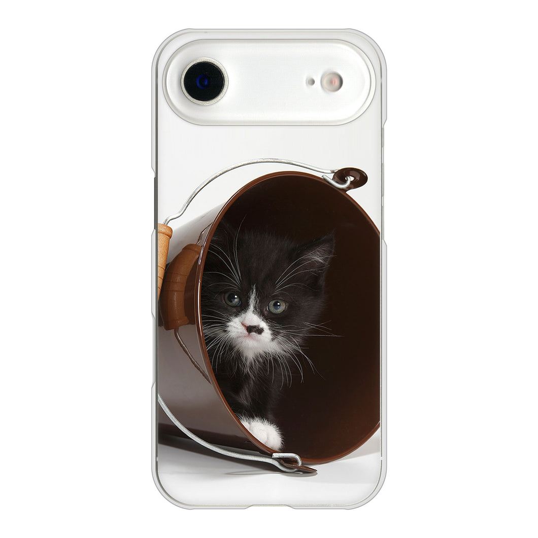 iPhone Air 高画質仕上げ 背面印刷 ハードケース 【VA800 ネコとバケツ】