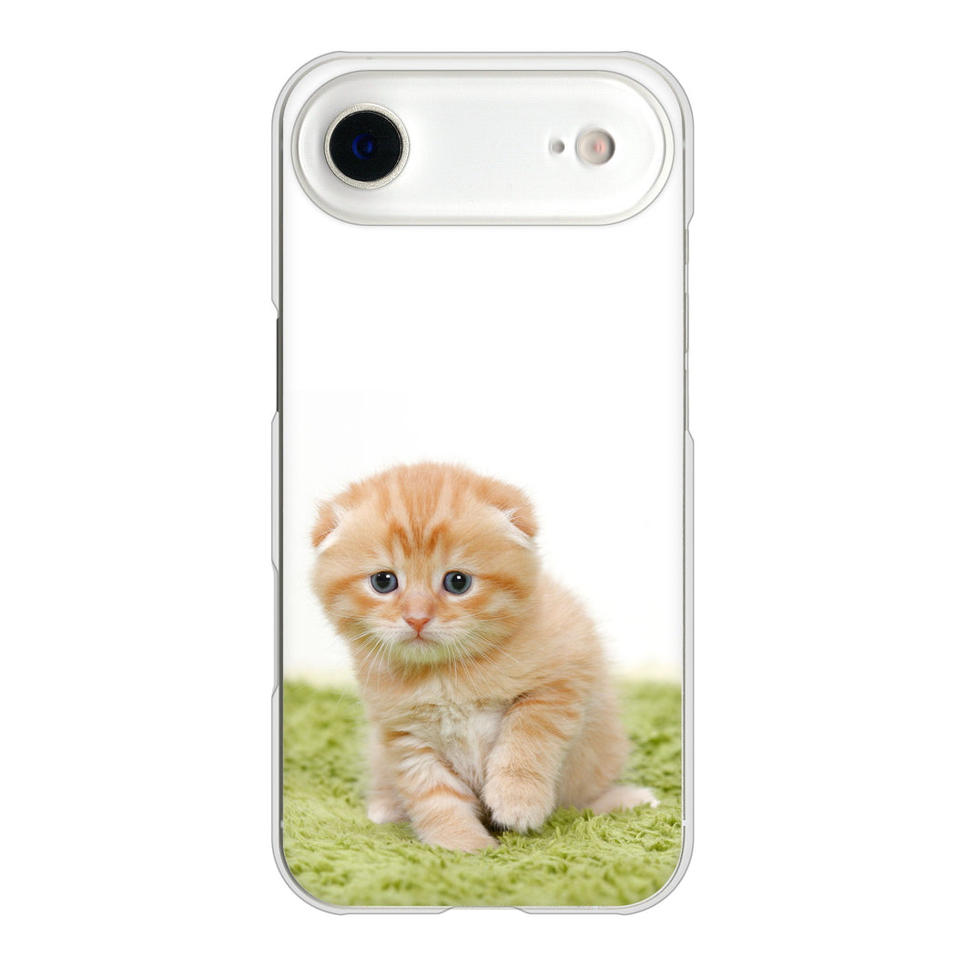 iPhone Air 高画質仕上げ 背面印刷 ハードケース 【VA802 ネコこっそり】