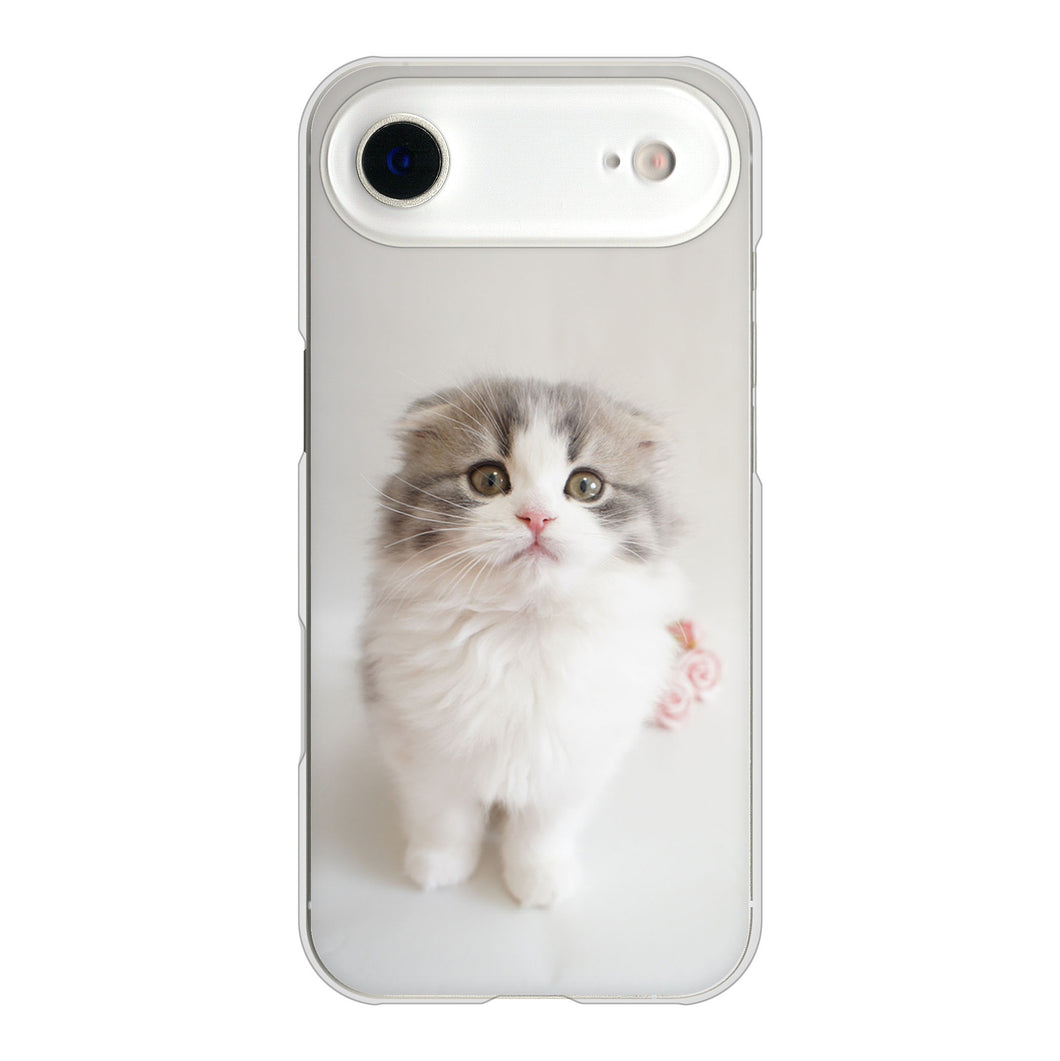 iPhone Air 高画質仕上げ 背面印刷 ハードケース 【VA803 まっていますネコ】