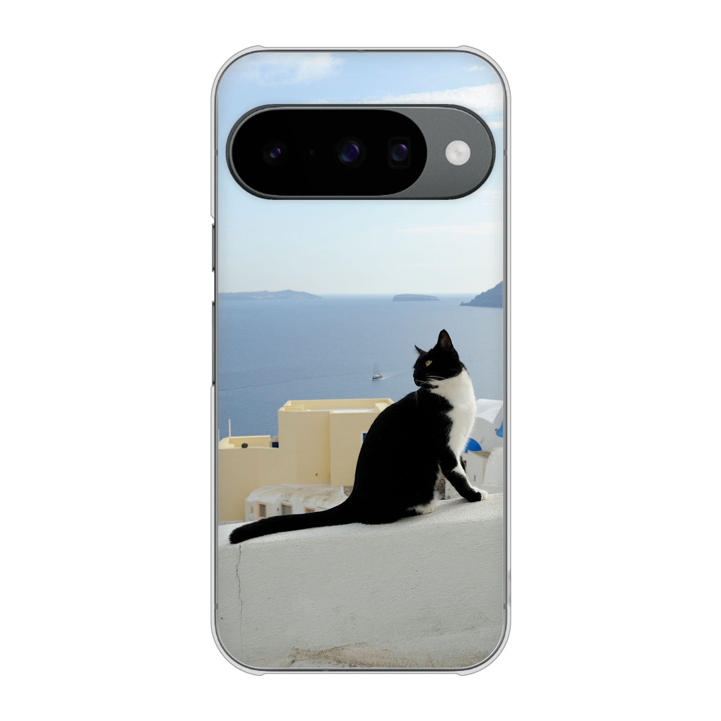 Google Pixel 10 高画質仕上げ 背面印刷 ハードケース 【VA805 ネコと地中海】