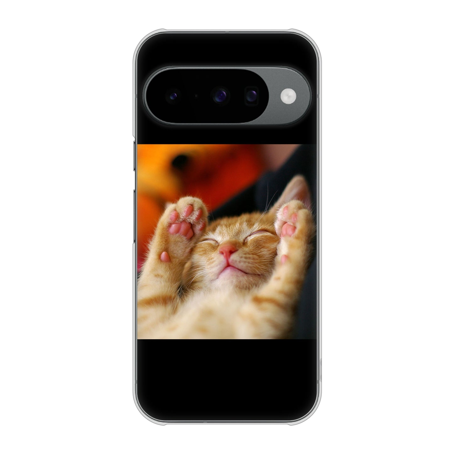 Google Pixel 10 Pro 高画質仕上げ 背面印刷 ハードケース 【VA804 爆睡するネコ】