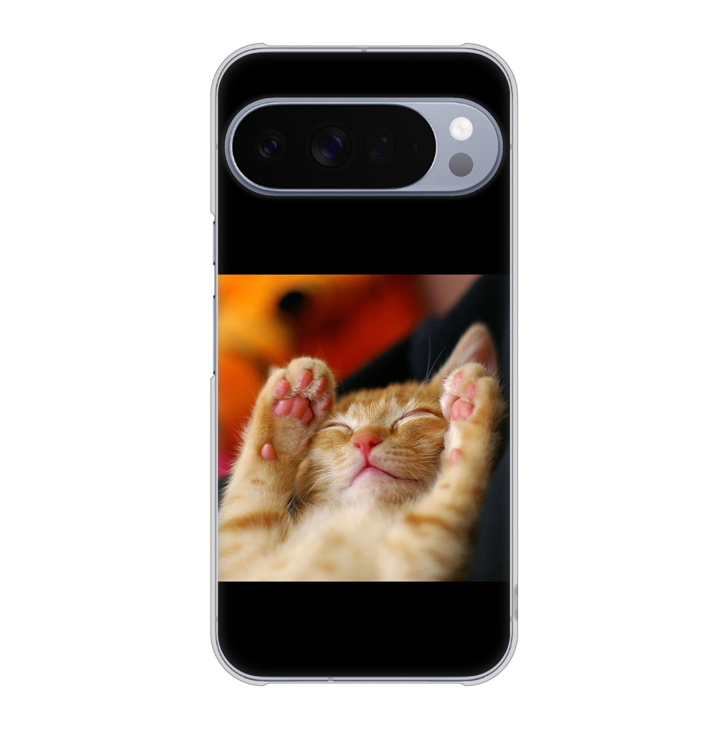 Google Pixel 10 Pro XL 高画質仕上げ 背面印刷 ハードケース 【VA804 爆睡するネコ】