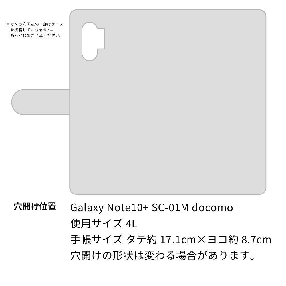 Galaxy Note10+ SC-01M docomo スマホショルダー 【 手帳型 Simple 名入れ 長さ調整可能ストラップ付き 】 耐衝撃