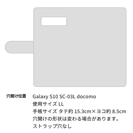 Galaxy S10 SC-03L docomo ビニール素材のスケルトン手帳型ケース クリア