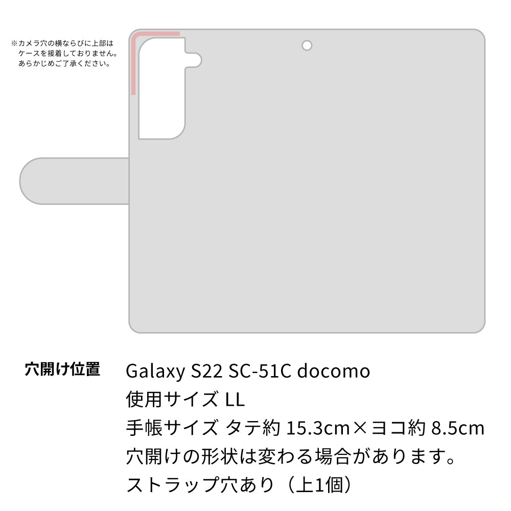 Galaxy S22 SC-51C docomo ローズ＆カメリア 手帳型ケース