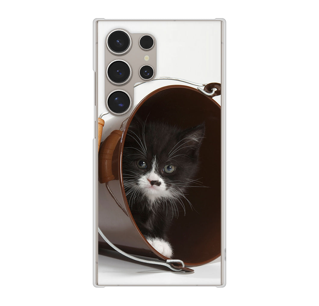 Galaxy S24 Ultra SC-52E docomo 高画質仕上げ 背面印刷 ハードケース 【VA800 ネコとバケツ】