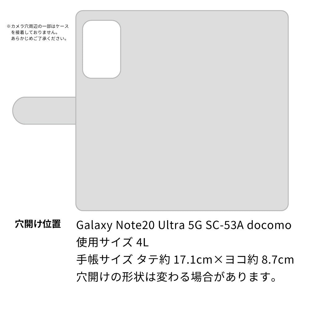 Galaxy Note20 Ultra 5G SC-53A docomo スマホショルダー 【 手帳型 Simple 名入れ 長さ調整可能ストラップ付き 】 耐衝撃