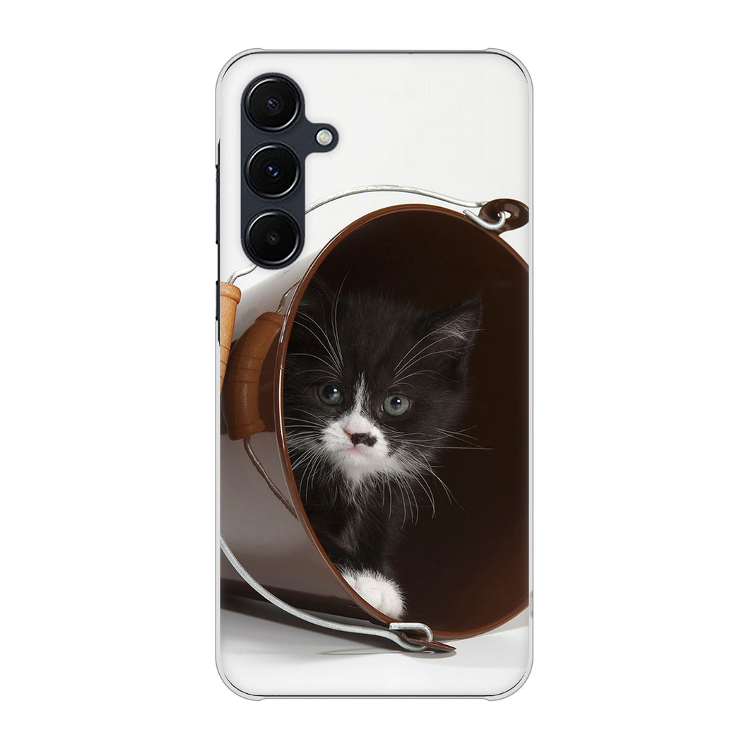 Galaxy A55 5G SC-53E docomo 高画質仕上げ 背面印刷 ハードケース 【VA800 ネコとバケツ】