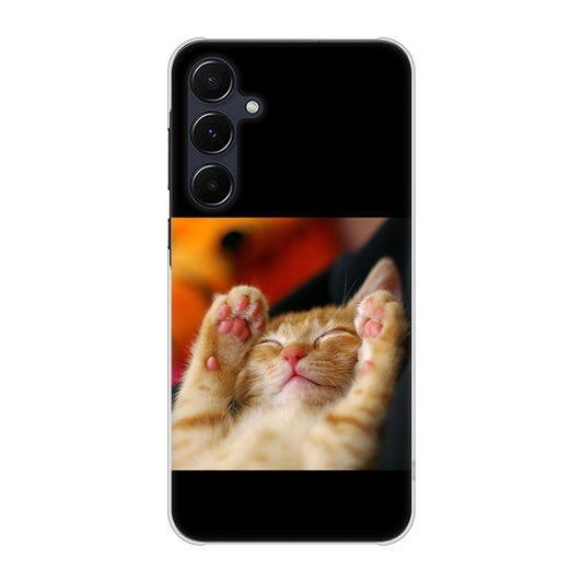 Galaxy A55 5G SC-53E docomo 高画質仕上げ 背面印刷 ハードケース 【VA804 爆睡するネコ】