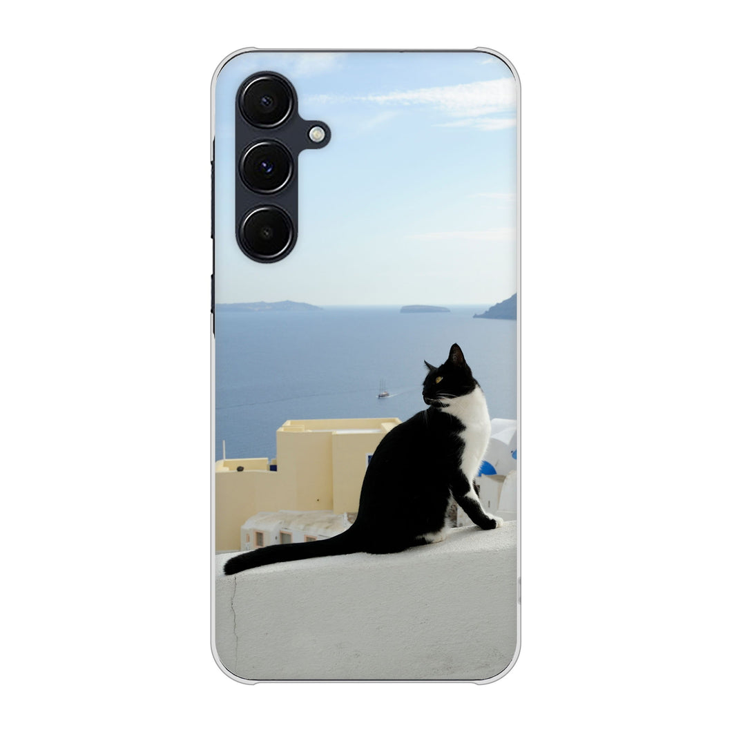 Galaxy A55 5G SC-53E docomo 高画質仕上げ 背面印刷 ハードケース 【VA805 ネコと地中海】
