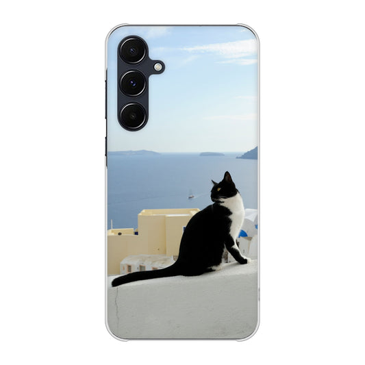 Galaxy A55 5G SC-53E docomo 高画質仕上げ 背面印刷 ハードケース 【VA805 ネコと地中海】