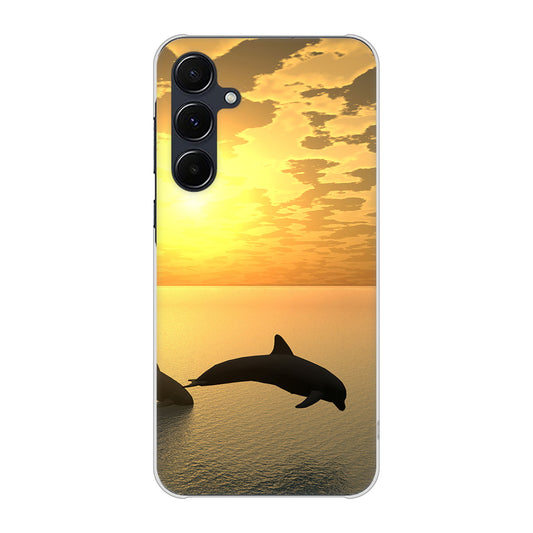 Galaxy A55 5G SC-53E docomo 高画質仕上げ 背面印刷 ハードケース 【VA845 夕暮れのドルフィン】