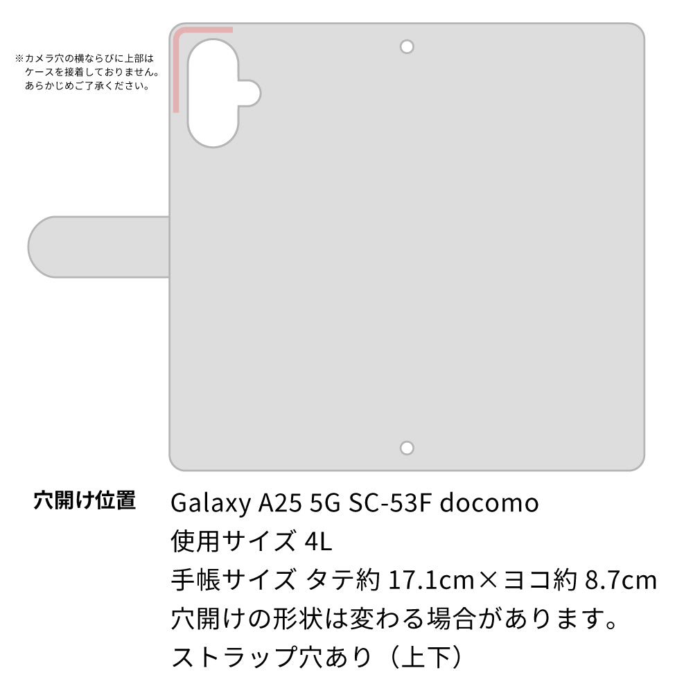 Galaxy A25 5G SC-53F docomo 真珠の耳飾りの子猫 プリント手帳型ケース 耐衝撃
