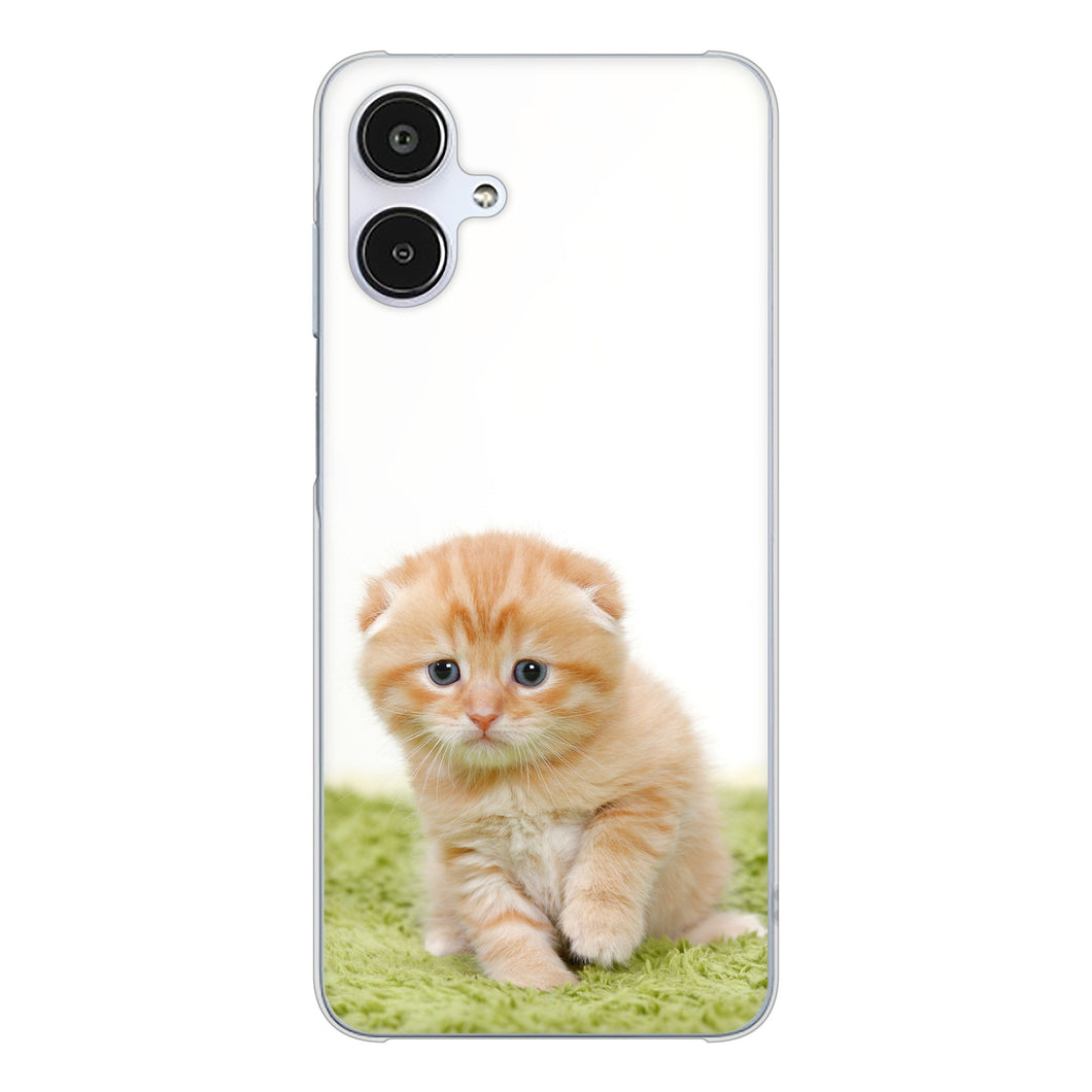 Galaxy A25 5G SC-53F docomo 高画質仕上げ 背面印刷 ハードケース 【VA802 ネコこっそり】