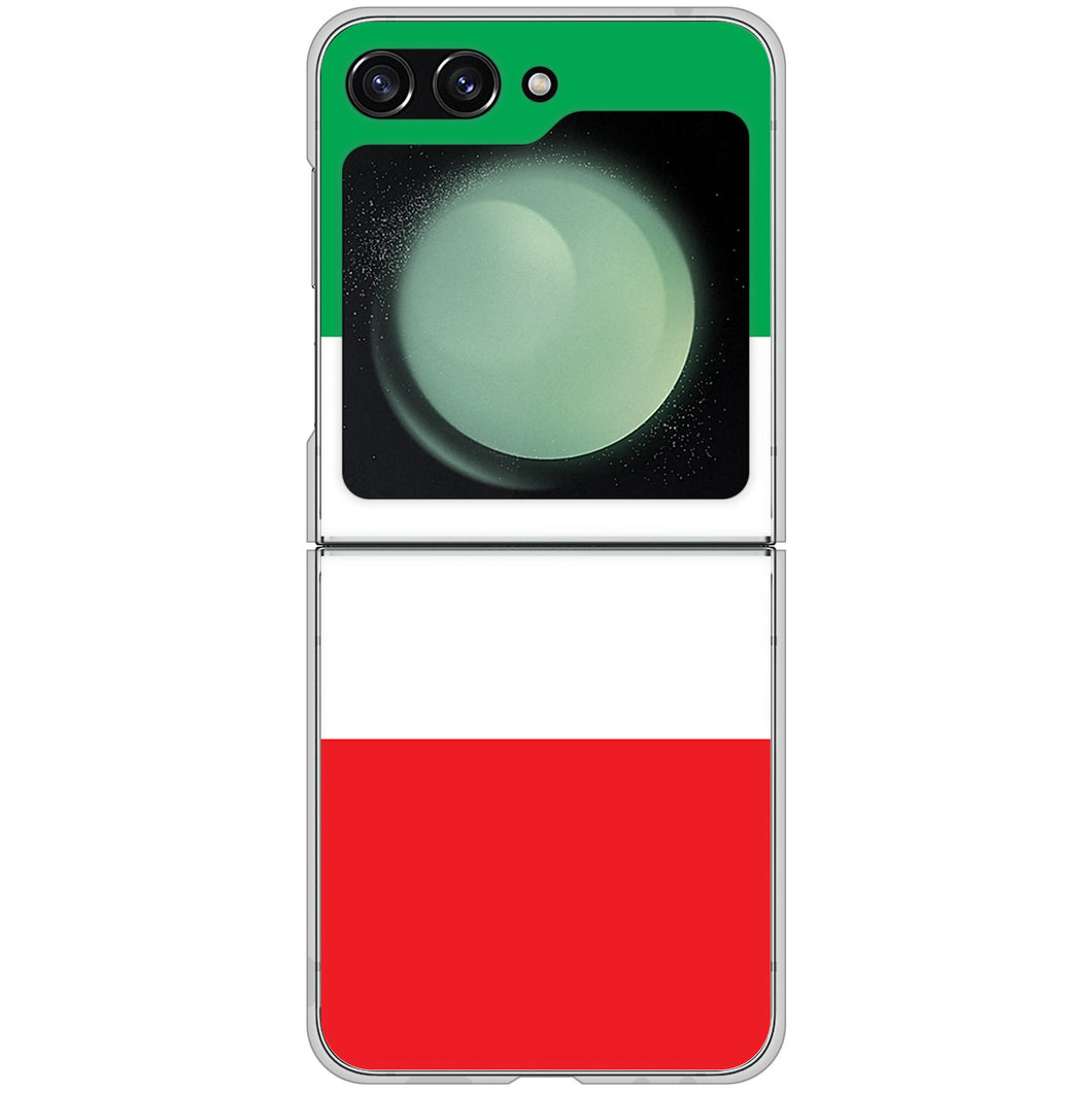 Galaxy Z Flip5 SC-54D docomo 高画質仕上げ 背面印刷 ハードケース国旗