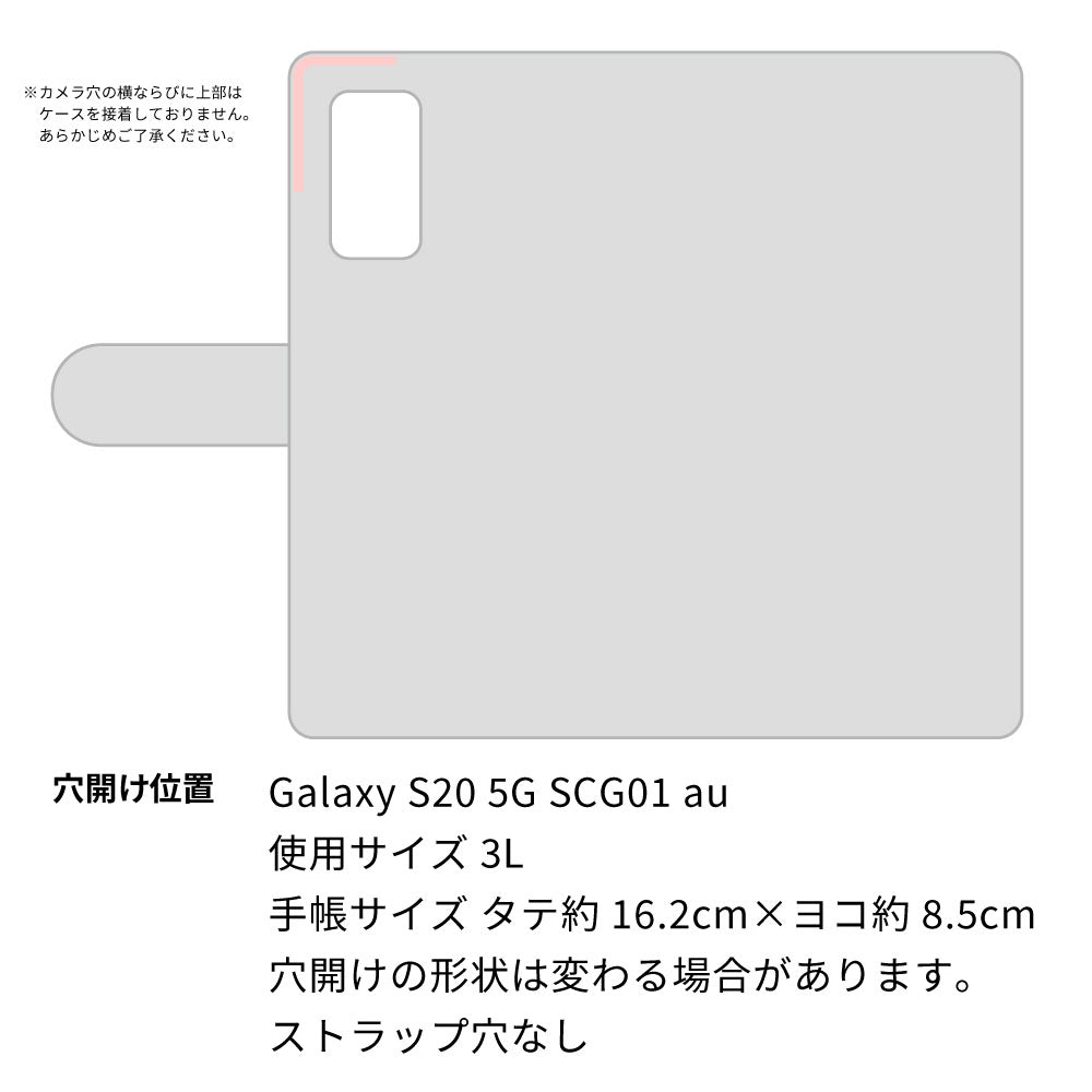 Galaxy S20 5G SCG01 au ビニール素材のスケルトン手帳型ケース クリア