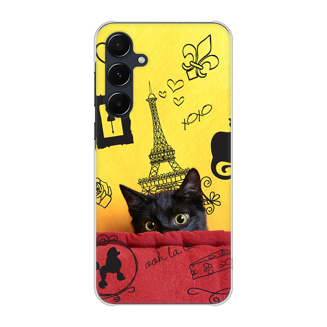 Galaxy A55 5G SCG27 au 高画質仕上げ 背面印刷 ハードケースLOVE フランス