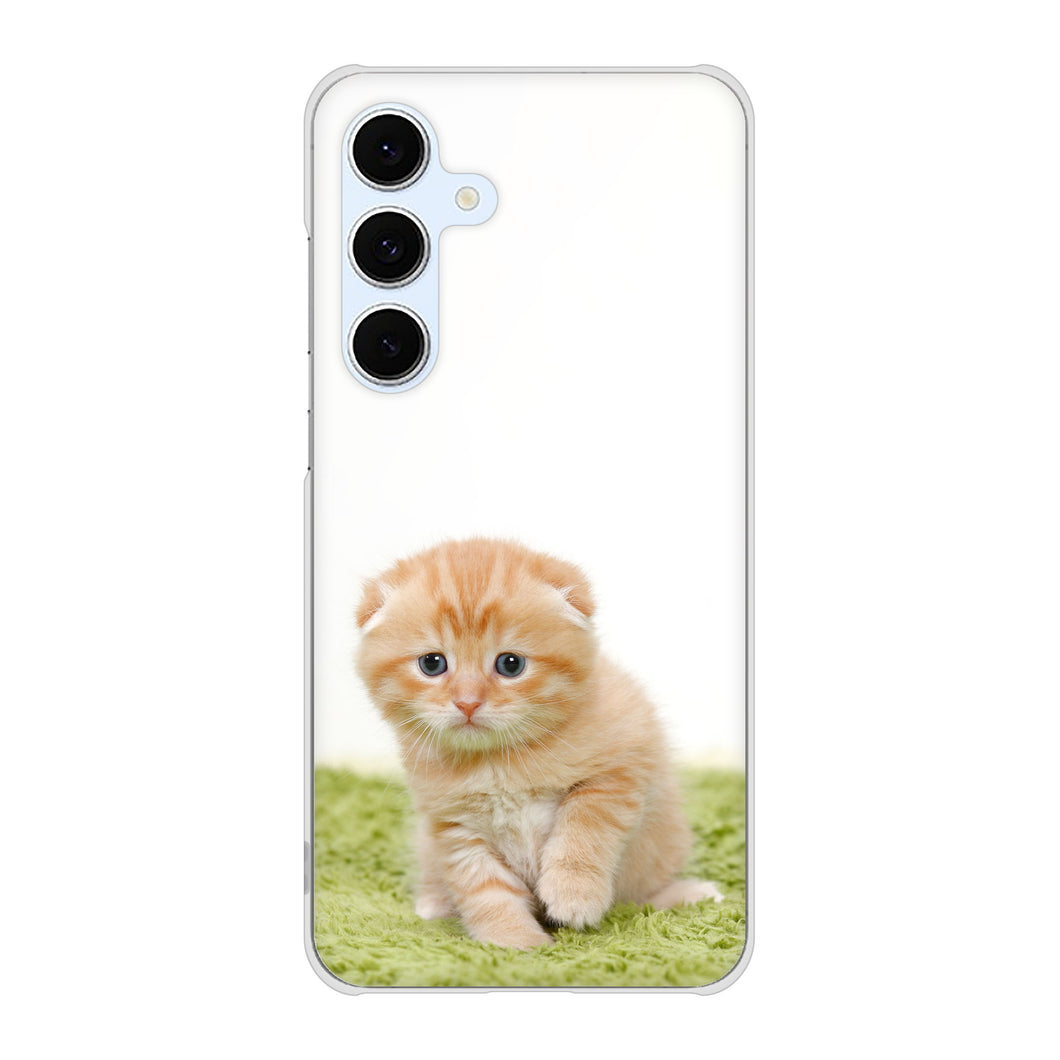 Galaxy S24 FE SCG30 au 高画質仕上げ 背面印刷 ハードケース 【VA802 ネコこっそり】