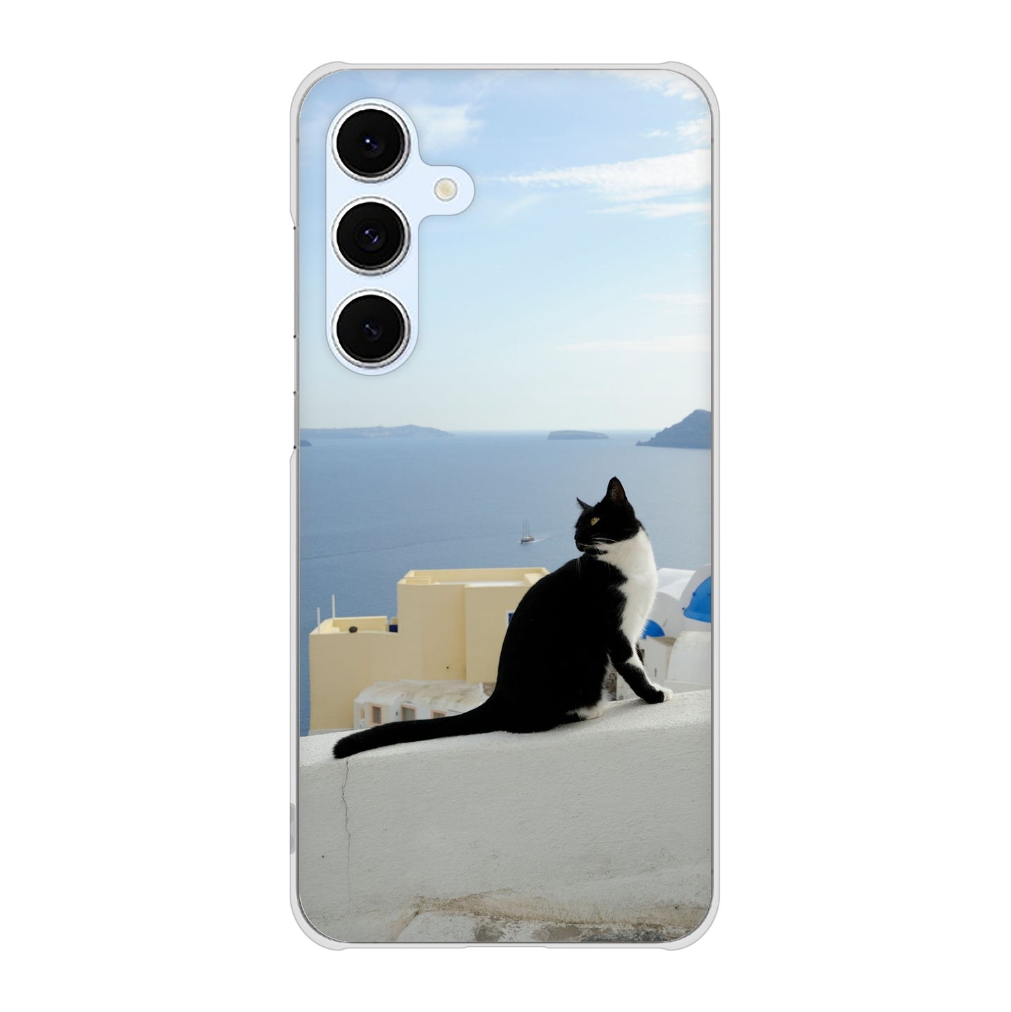 Galaxy S24 FE SCG30 au 高画質仕上げ 背面印刷 ハードケース 【VA805 ネコと地中海】