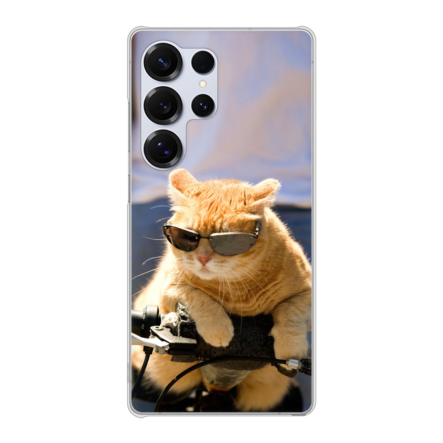 Galaxy S25 Ultra SCG32 au 高画質仕上げ 背面印刷 ハードケース 【595 にゃんとサイクル】