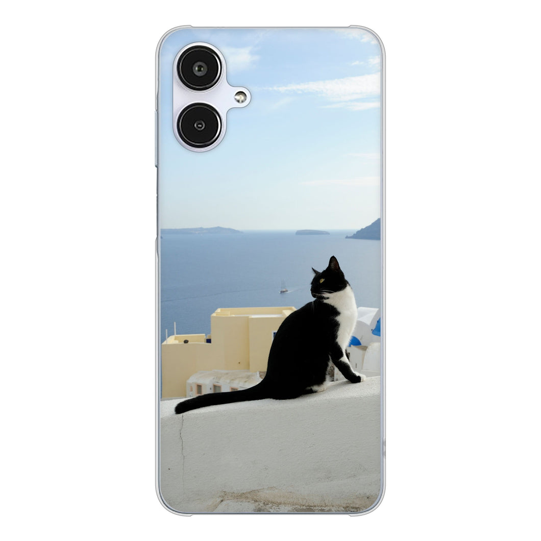 Galaxy A25 5G SCG33 au 高画質仕上げ 背面印刷 ハードケース 【VA805 ネコと地中海】