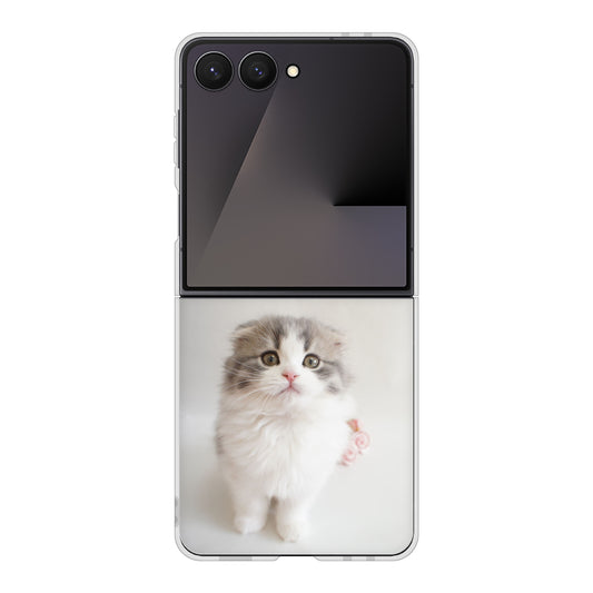 Galaxy Z Flip7 SCG35 au 高画質仕上げ 背面印刷 ハードケース 【VA803 まっていますネコ】
