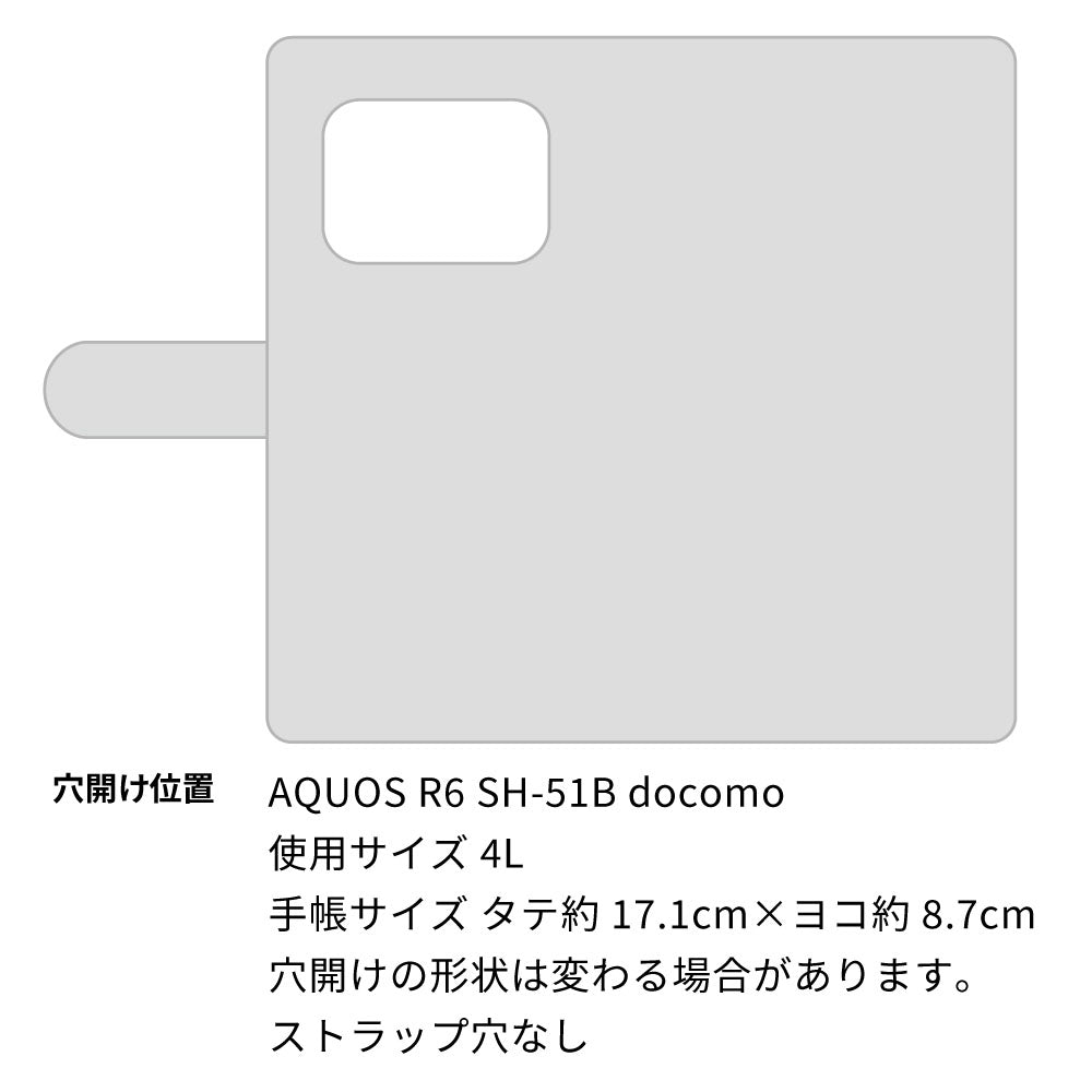 AQUOS R6 SH-51B スマホショルダー 手帳型 縦向き くすみカラー スタンド機能付