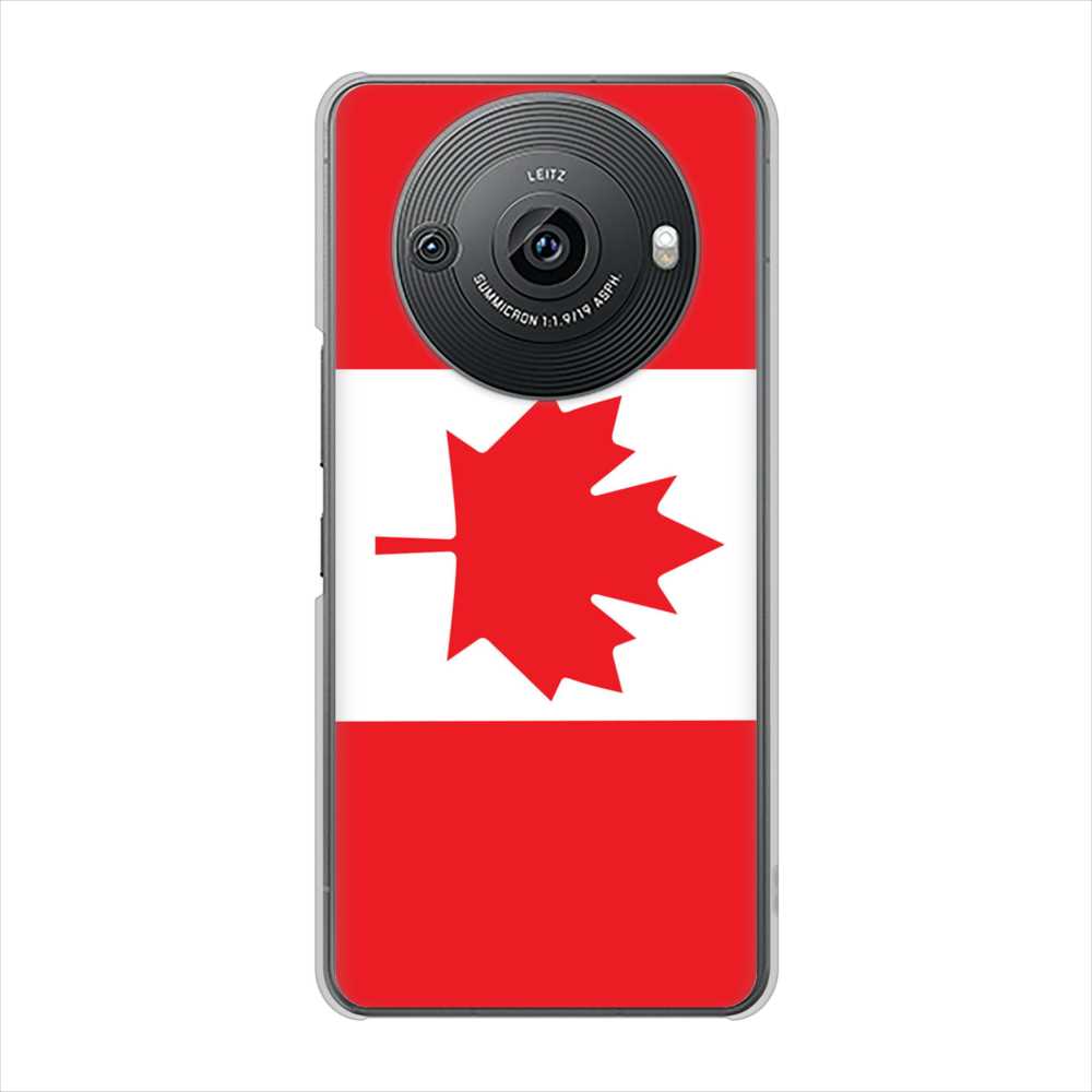 AQUOS R8 pro SH-51D docomo 高画質仕上げ 背面印刷 ハードケース国旗