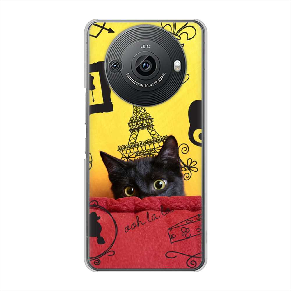 AQUOS R8 pro SH-51D docomo 高画質仕上げ 背面印刷 ハードケースLOVE フランス